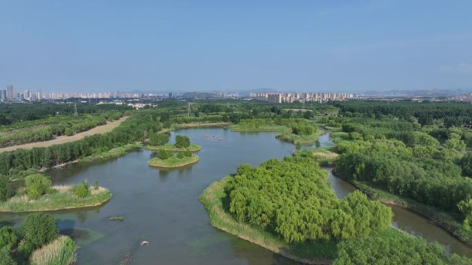 济南玉清湖水库济西湿地