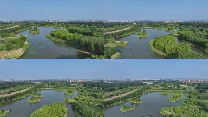 济南玉清湖水库济西湿地