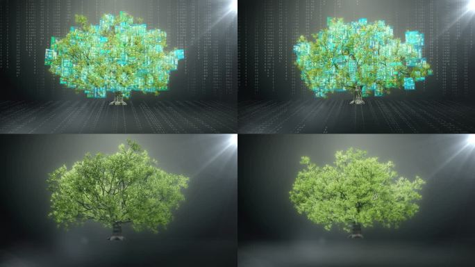 树木生长模拟代码生成树算法代码树状数据
