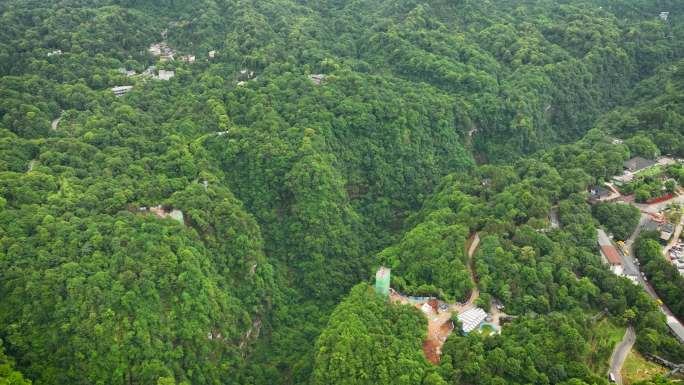 四川雅安碧峰峡大峡谷景区航拍4K御三