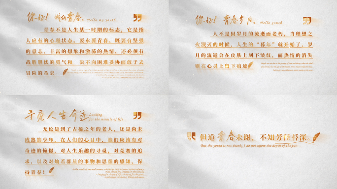 白底金字多字文字日记信浪漫抒情金字片头