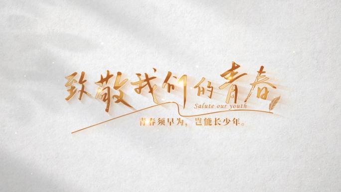白底金字多字文字日记信浪漫抒情金字片头