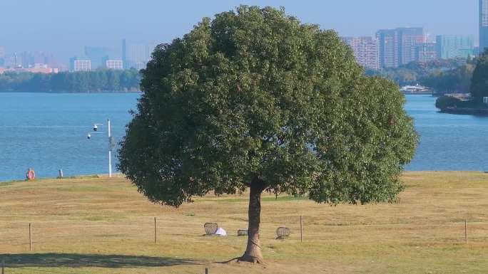 清晨苏州工业园区独墅湖科创区城市自然风景