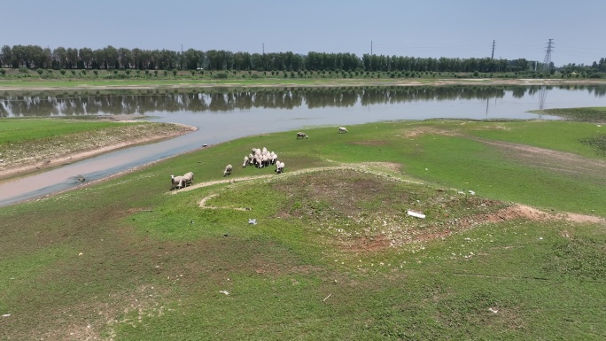 河道 河流 湿地 绿地 航拍 低空 水系