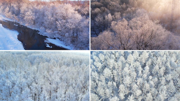 冬天冬季冬景雪景雾凇