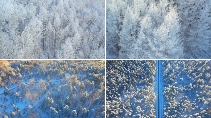 冬天冬季冬景雪景雾凇