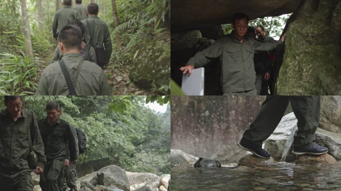 森林科考队 探险队穿越丛林跋山涉水