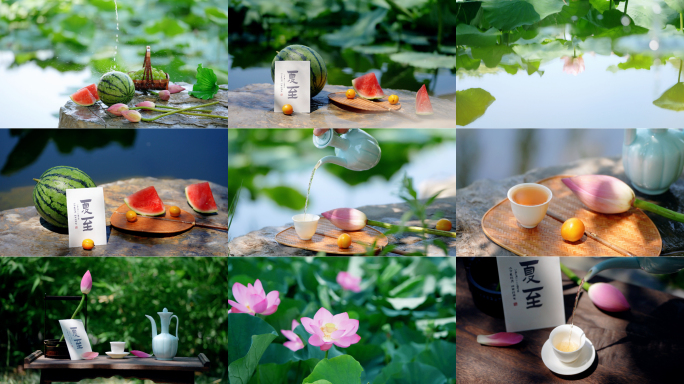 夏至 节气 西瓜 荷花 荷塘 东方美学