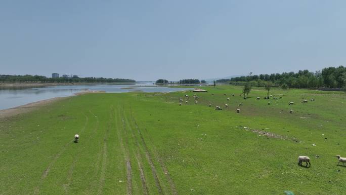 河道 河流 湿地 绿地 航拍 低空 水系