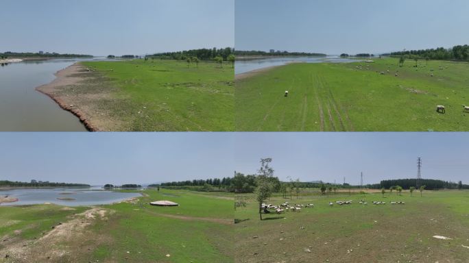 河道 河流 湿地 绿地 航拍 低空 水系