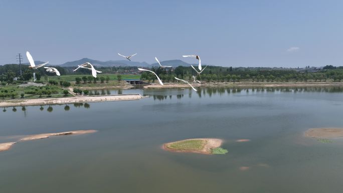河道 河流 湿地 绿地 航拍 低空 水系