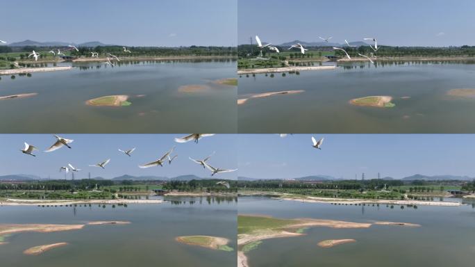 河道 河流 湿地 绿地 航拍 低空 水系