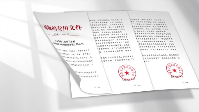 大气白色光影文件展示