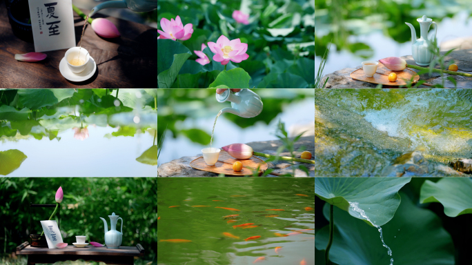 夏至 节气 夏天