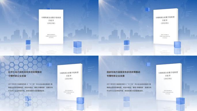 白皮书文字摘要重要内容段落文字