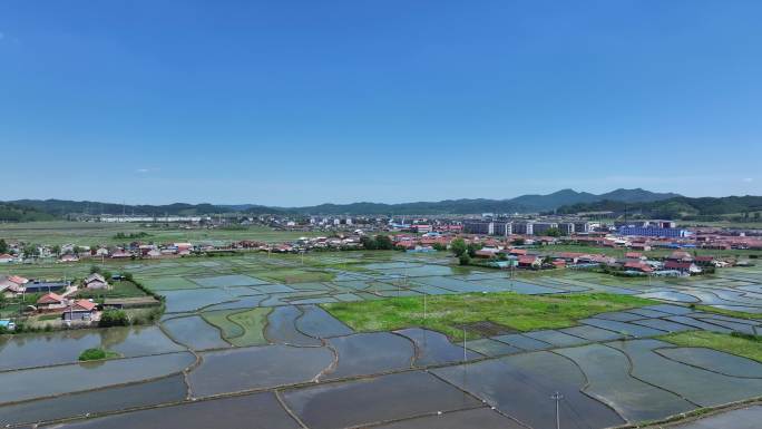 辽宁抚顺新宾满族自治县