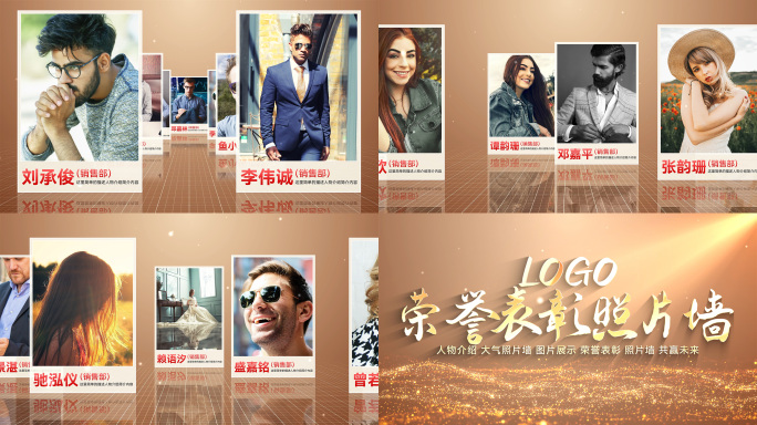 金色大气人物介绍颁奖照片墙表彰ae模板