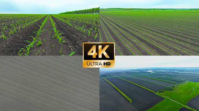4K东北黑土地航拍FPV