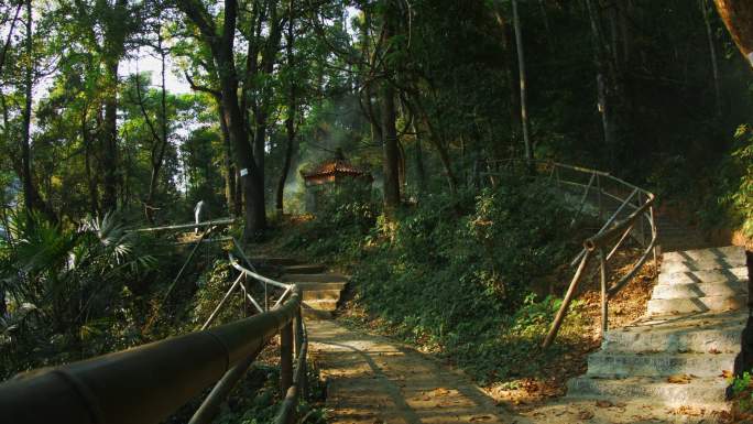 和尚上山 寺庙 林间小路 夜合山