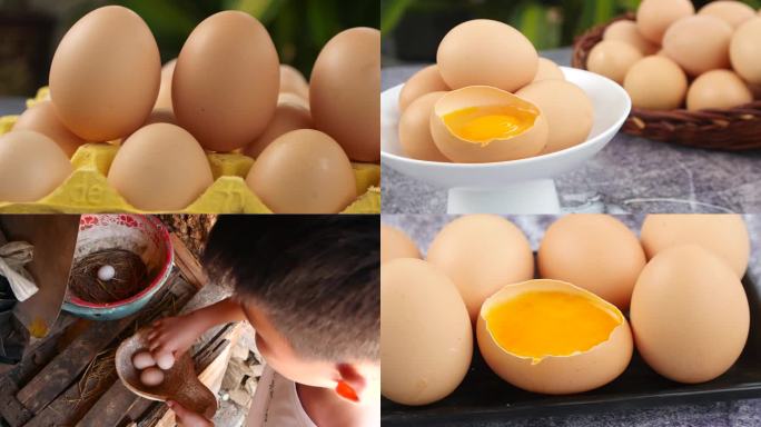 鸡蛋 捡鸡蛋 散养土鸡蛋