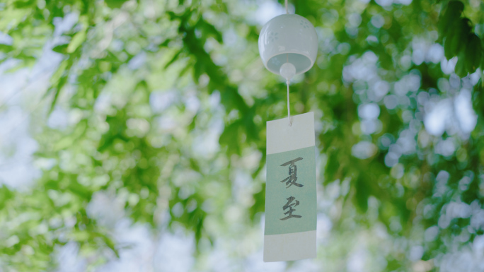 夏至 夏天夏日 唯美小清新夏天空镜 大暑