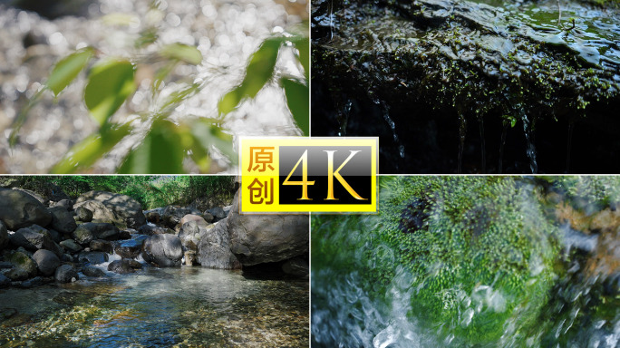 清澈流水山泉水山涧水流溪流溪水