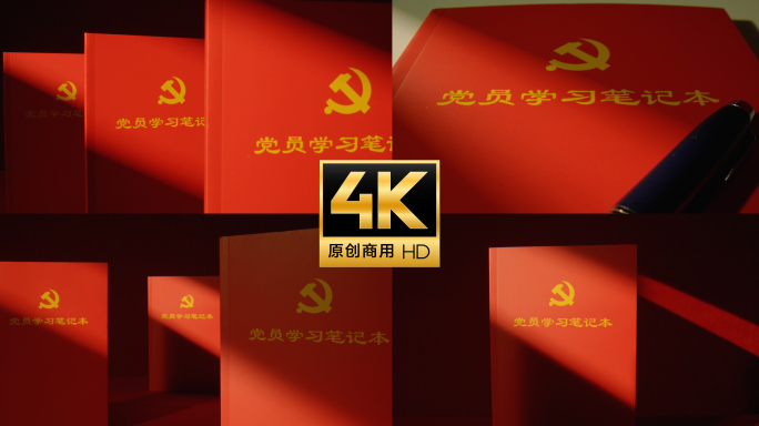 党员学习笔记红色 党徽 党建 党政片头