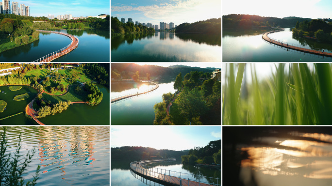 公园绿色生态城市逆光绿色家园