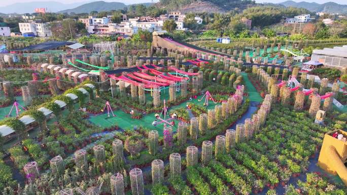 玉林五彩田园相遇百花洲