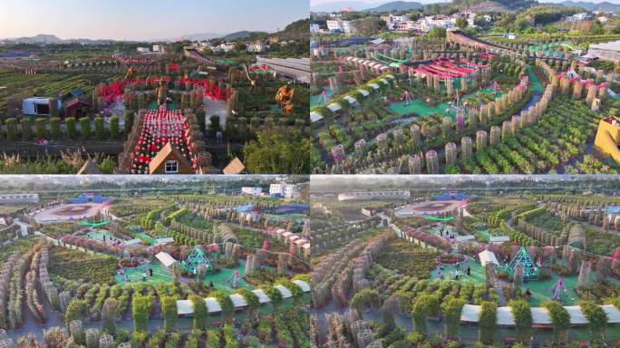 玉林五彩田园相遇百花洲