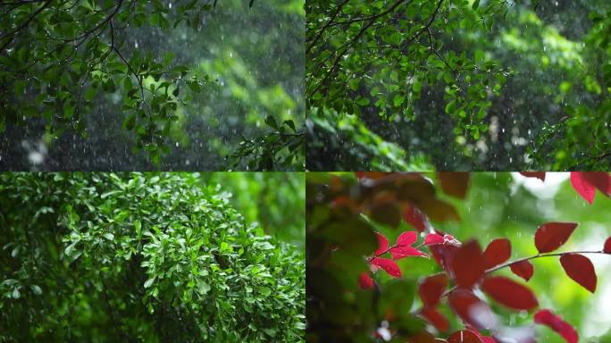 大雨