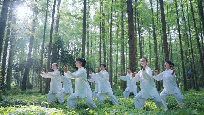 4K森林打太极 康养养生美好生活老年生活