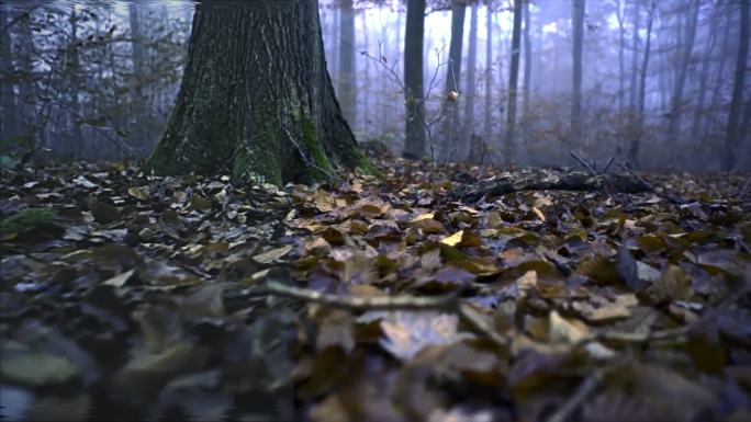 老电视旧风格滤镜【AE模板】