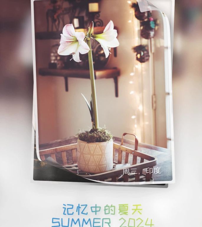 卷曲风吹翻页效果的竖版内容图文展示