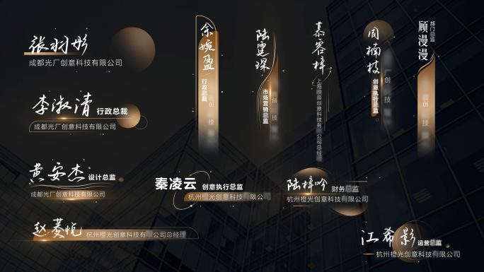 高级金色质感人名字幕条