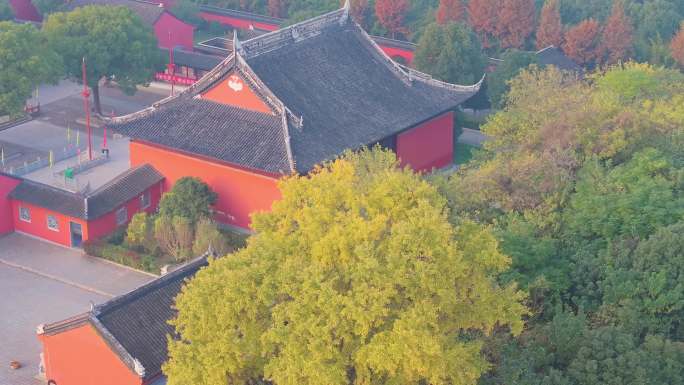 苏州吴中金山城隍庙秋天寺庙与银杏风景航拍