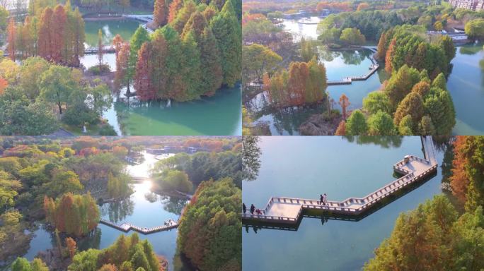苏州工业园区秋天白塘植物园自然风景航拍