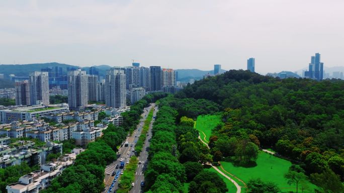2024年深圳CBD莲花山公园