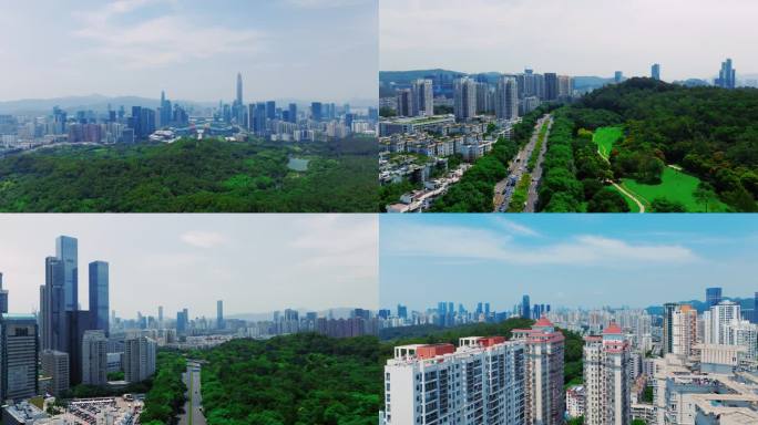 2024年深圳CBD莲花山公园