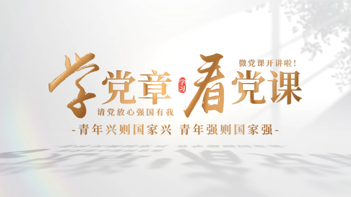 微党课标题片头