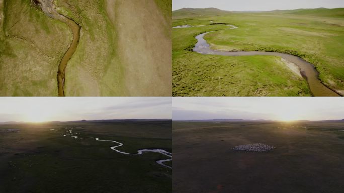 内蒙古河流航拍 草原羊群 蒙古包