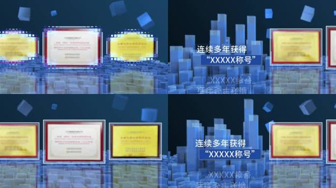 高端荣誉证书包装
