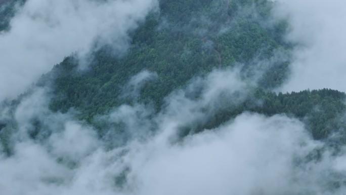 山间的云海还有云雾下若隐若现的山村