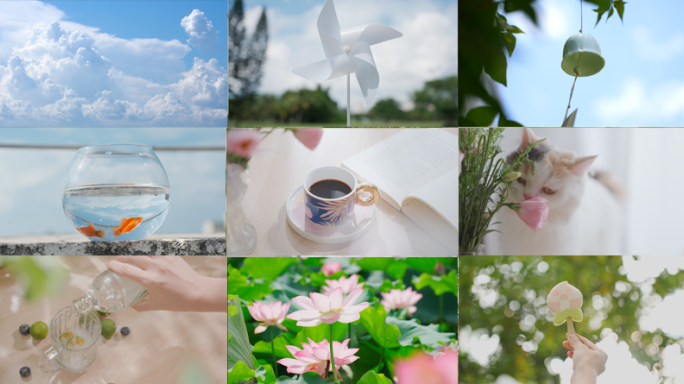 大暑 小暑 夏至 夏天 夏日小清新空镜头