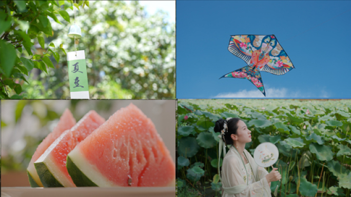 大暑 小暑 夏至 夏天 夏日小清新空镜头