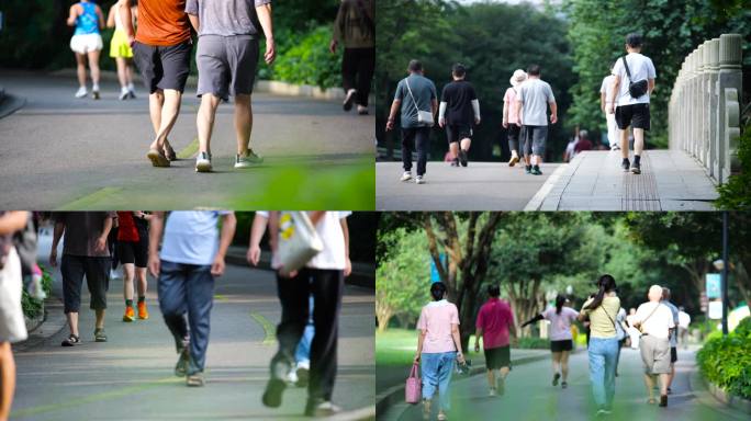 夏日清晨公园散步跑步