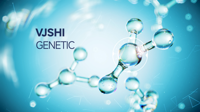 分子成分结构 介绍模板