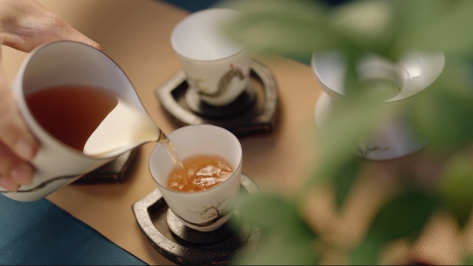 茶艺师竹林展示茶艺国风茶艺倒茶