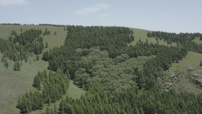 航拍内蒙古呼和浩特敕勒川高山草原夏季风光