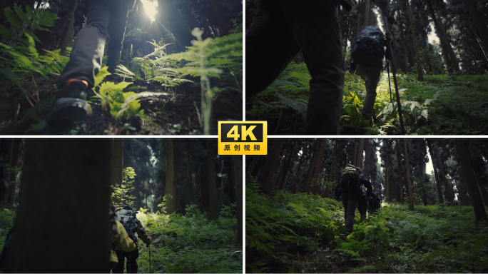 徒步爬山登山攀登森林丛林背包客旅行者徒步